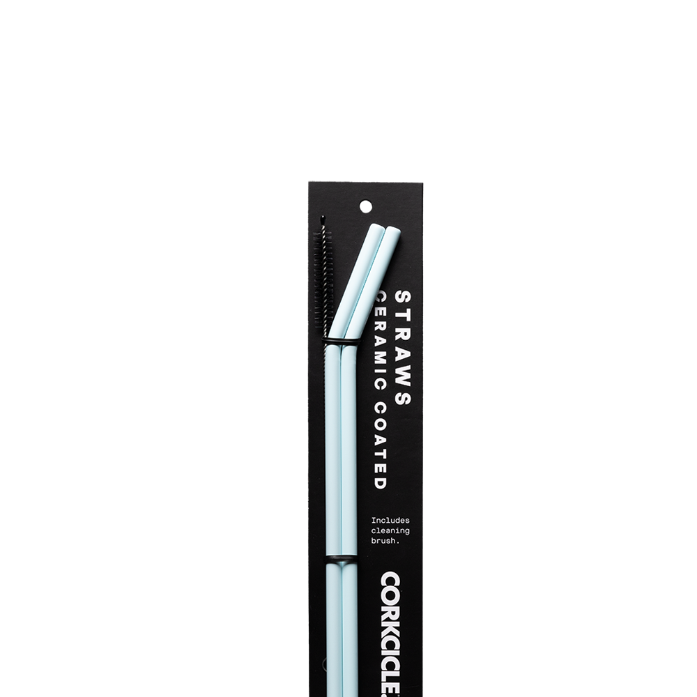 Ceramic Coated Straw Set - Travel Modern Ready Style