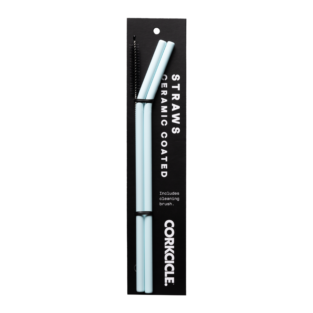 Ceramic Coated Straw Set - Travel Modern Ready Style