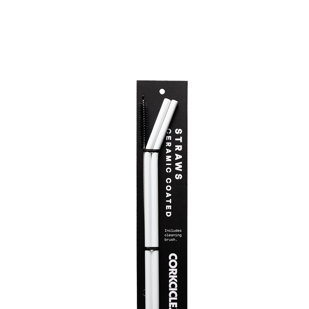 Ceramic Coated Straw Set - Travel Modern Ready Style