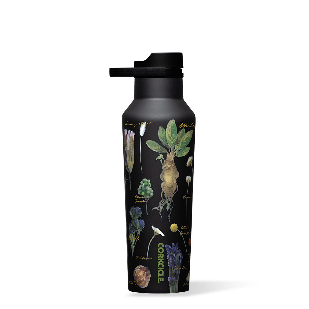 Harry Potter Sport Canteen - Clean Choice