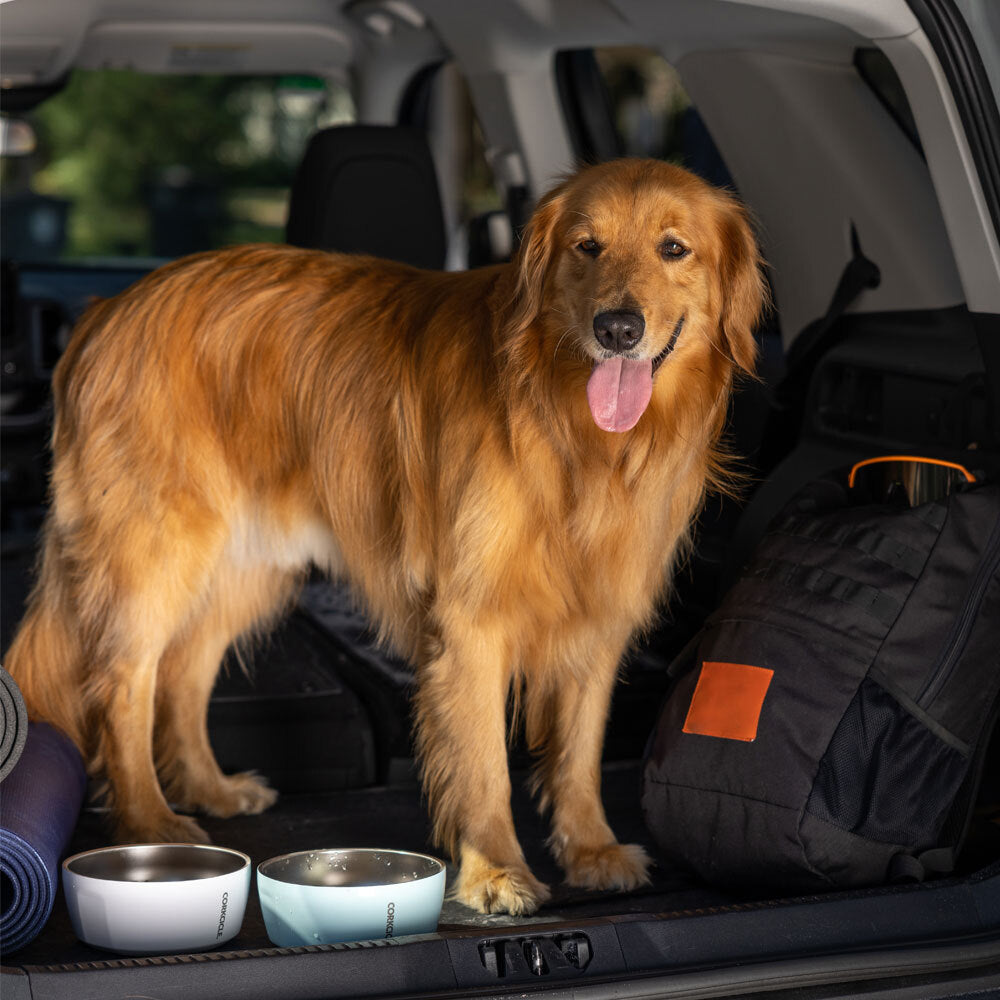 Dog Bowl - Outdoor Travel Fit Use